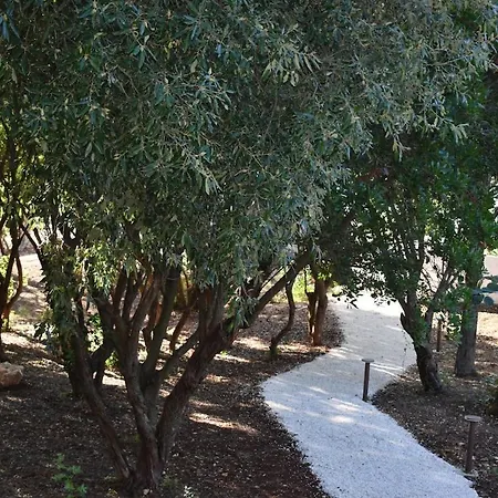 I Trulli Di Olimpia Villa *