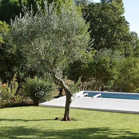 I Trulli Di Olimpia Locorotondo